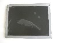 TM057KDH01-00 TIANMA 5,7 ΊΝΤΣΑ 320 (RGB) ×240 400CD/M ΒΙΟΜΗΧΑΝΙΚΉ LCD ΕΠΊΔΕΙΞΗ ²