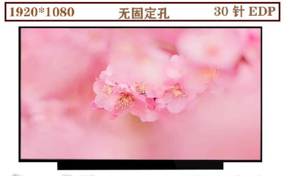 N133HCE-EN1 INNOLUX 13,3» 1920 (RGB) ×1080 330 ΒΙΟΜΗΧΑΝΙΚΉ LCD ΕΠΊΔΕΙΞΗ CD/M ²
