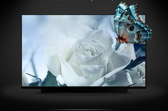 B133HAK02.2 AUO 13,3&quot; 1920 ((RGB) × 1080, 300 cd/m2 Βιομηχανική οθόνη LCD