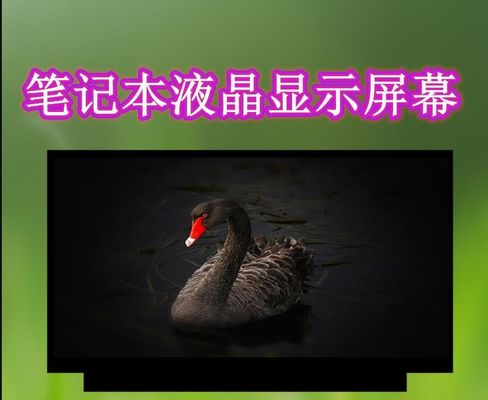 N140BGE-E54 INNOLUX 14,0» 1366 (RGB) ×768 220 ΒΙΟΜΗΧΑΝΙΚΉ LCD ΕΠΊΔΕΙΞΗ CD/M ²