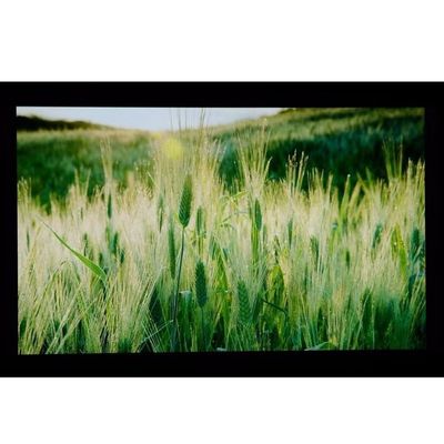 10.1» LCM 1024×600RGB   350cd/m ²   LQ101W3LG01 αιχμηρή επίδειξη TFT LCD