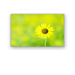 4.0» βιομηχανική LCD επίδειξη HSD040I3N1-B00 HannStar 320×240 4700cd/M2